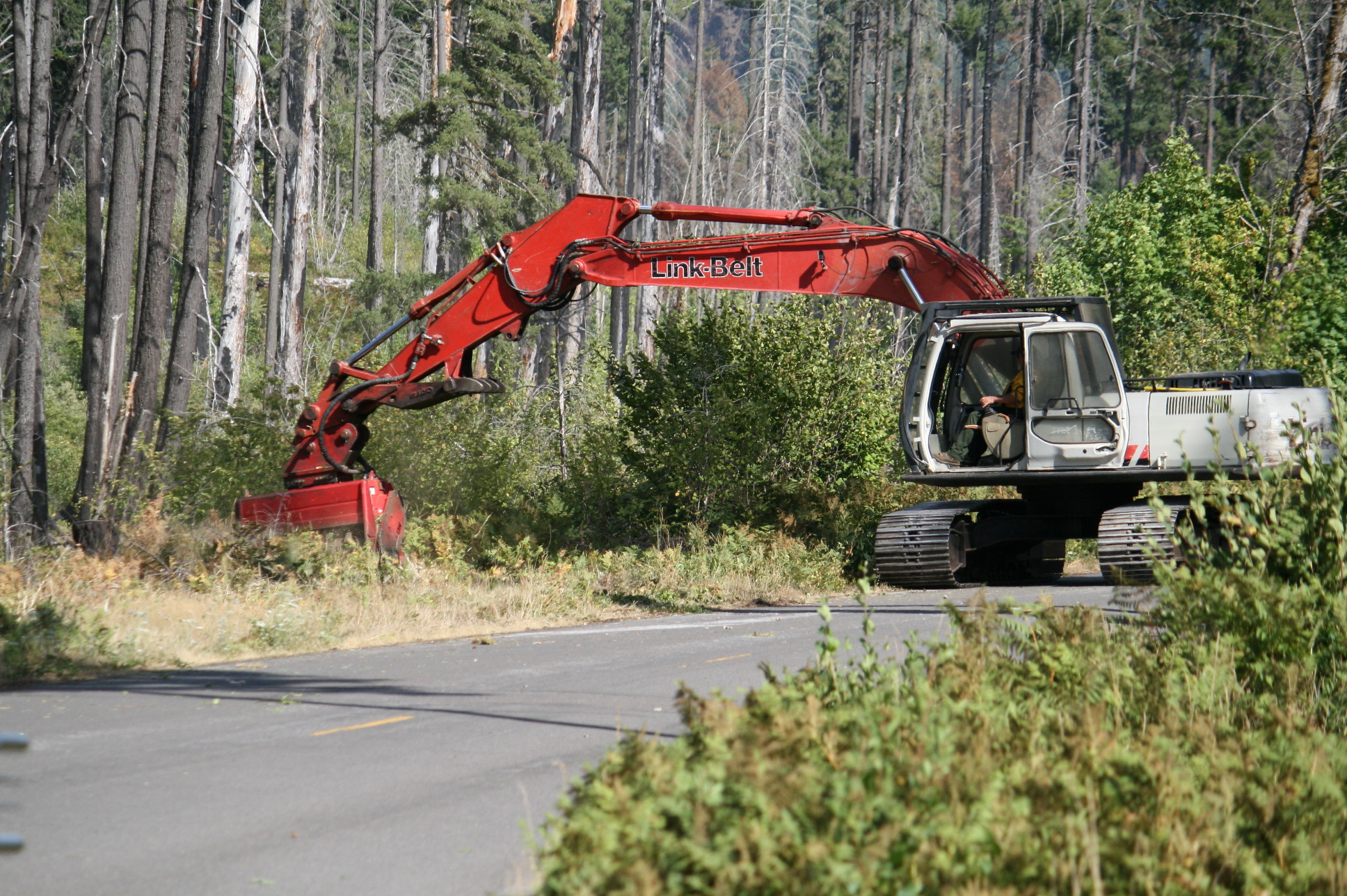 Masticator USFS CC4 3